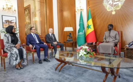 Senegal's Hidden Debt Crisis: $485M Eurobond Test Exposes 132% Debt-to-GDP Ratio